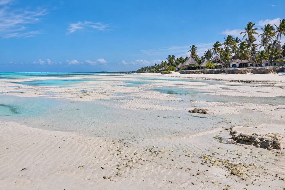 Pływy przy hotelu na Zanzibarze