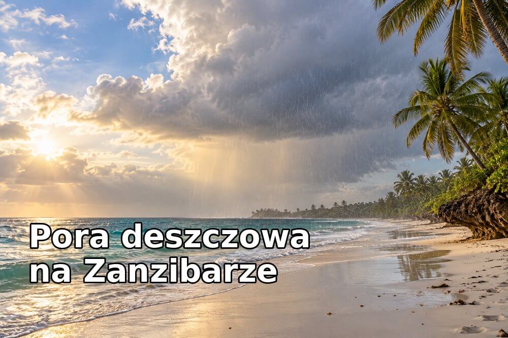 Pora deszczowa na Zanzibarze – kiedy pada i czy warto wtedy jechać?
