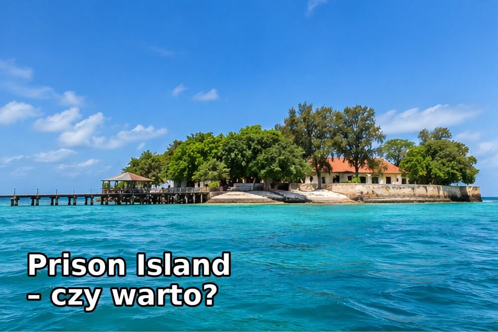 Prison Island – czy warto odwiedzić Changuu Island?